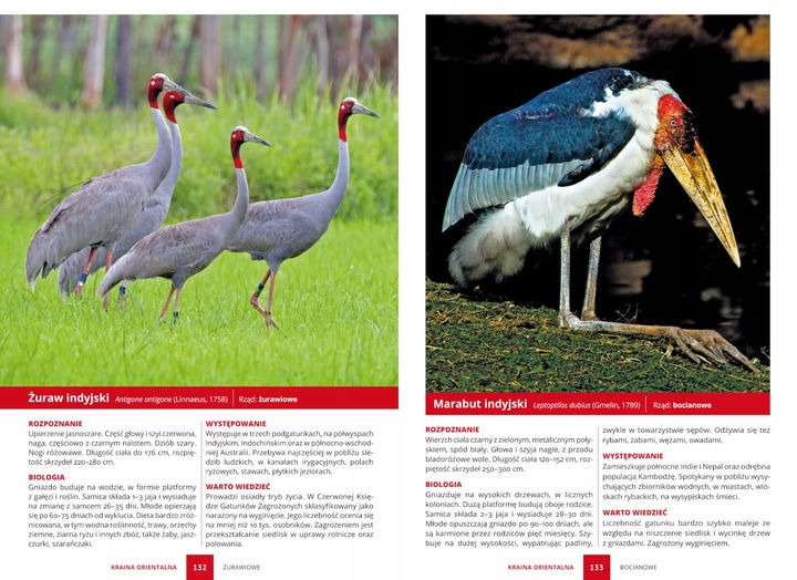 PTAKI ŚWIAT ATLAS PTAKÓW ŚWIATA 250 GATUNKÓW TWARDA OPRAWA KSIĄŻKA PREZENT