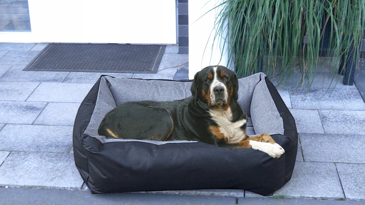 Legowisko dla psa łóżko 120x90 posłanie kojec kanapa solidne wodoodporne