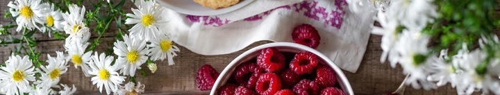 OLIWA Z OLIWEK EXTRA VIRGIN BIO 500 ml FLAVOURS & COLOURS ALMAZARA RIOJANA