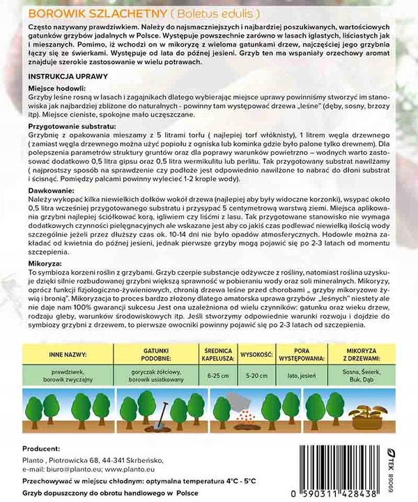 Mikoryza BOROWIK SZLACHETNY leśne grzyby GRZYBNIA