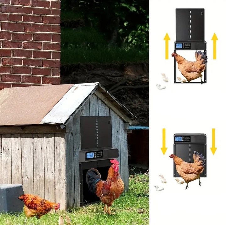 AUTOMATYCZNE DRZWI DO KURNIKA OTWIERANIE Z TIMEREM PROGRAMATOR CZUJNIK