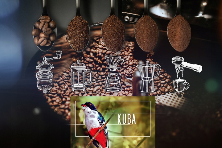 Kawa Mielona Świeżo Palona 100% Arabica Kuba 500G Eight Cafe