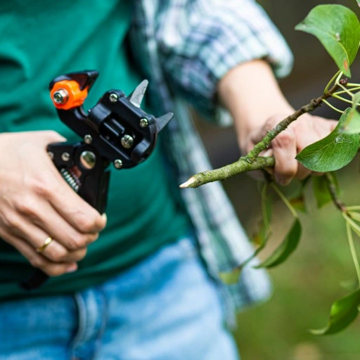 Sekator DO SZCZEPIEŃ okulizacji drzew + taśma