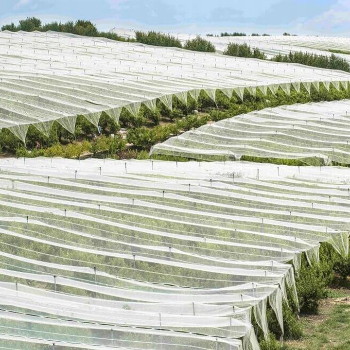 Agrowłóknina biała otulina okryciowa HEVA 1,6x50m 17g wiosenna zimowa UV2%