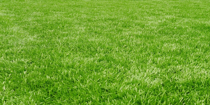 Wysokoazotowy nawóz do trawnika Vegano wspierany naturą 2x8 kg Target 16 kg