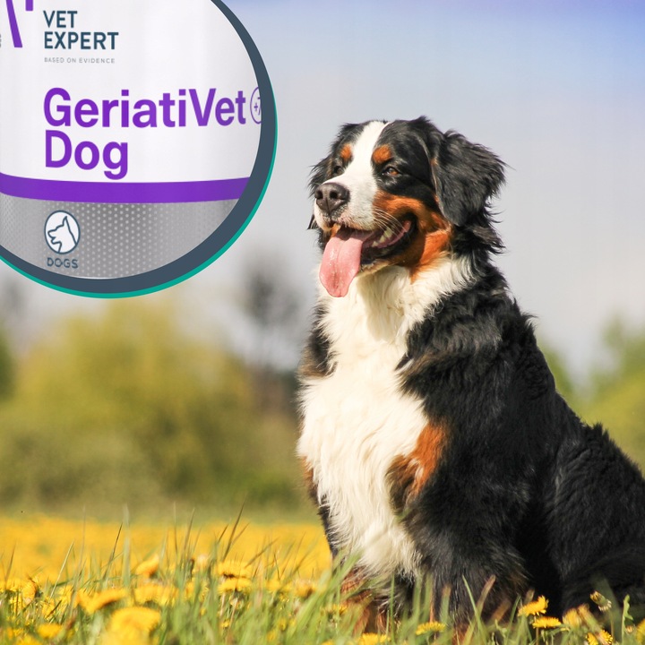 Preparat witaminy dla starszych psów Vet Expert Geriativet Dog 45 tabletek