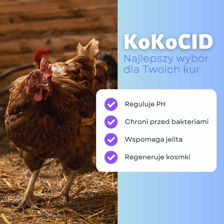 KokoCID 1 kg+GRATIS zakwaszacz dla drobiu muszle