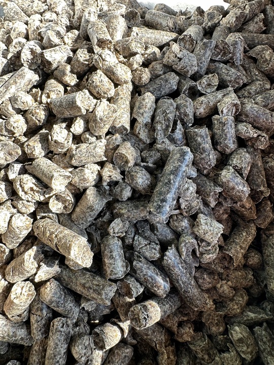 WYSŁODKI BURACZANE niskomelasowane suche 25kg