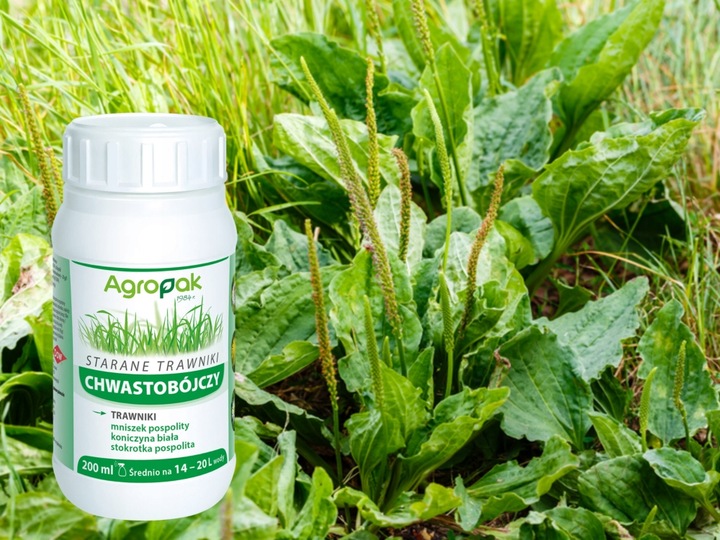 STARANE TRAWNIKI środek oprysk na chwasty w trawie trawniku 200ml NA 666m2