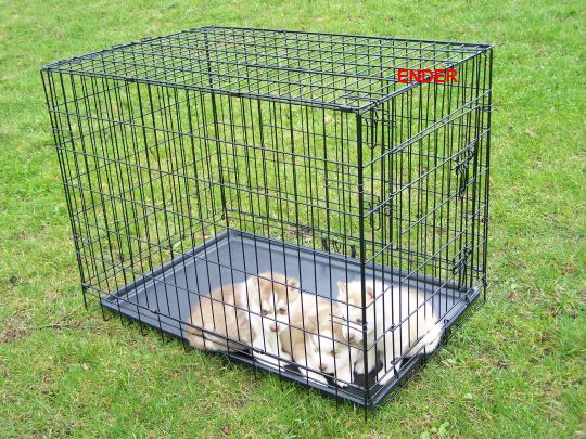 DUŻA KLATKA KENNELOWA KOJEC Transporter dla PSA PSÓW 106x71x81 cm XXL