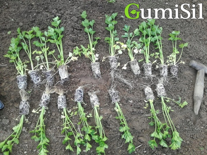 STYMULATOR DO WARZYW GUMISIL TRICHODERMA ROZSADY! EKO NAWÓZ BIOLOGICZNY TOP