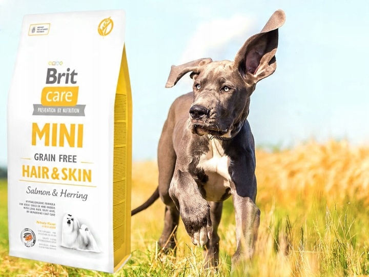 Karma dla psa BRIT Łosoś ze śledziem 7 kg