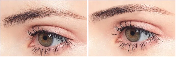 Trymer brzytwa do regulacji brwi czarny 5 sztuk