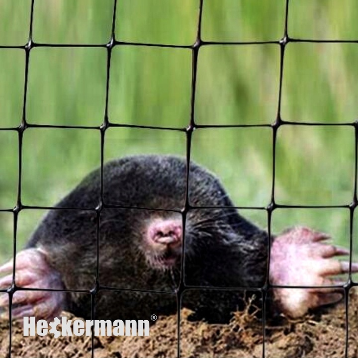 SIATKA NA KRETY 1x100m 30g/m2 POD TRAWNIK PRZECIW KRETOM NORNICE 50x KOŁKI