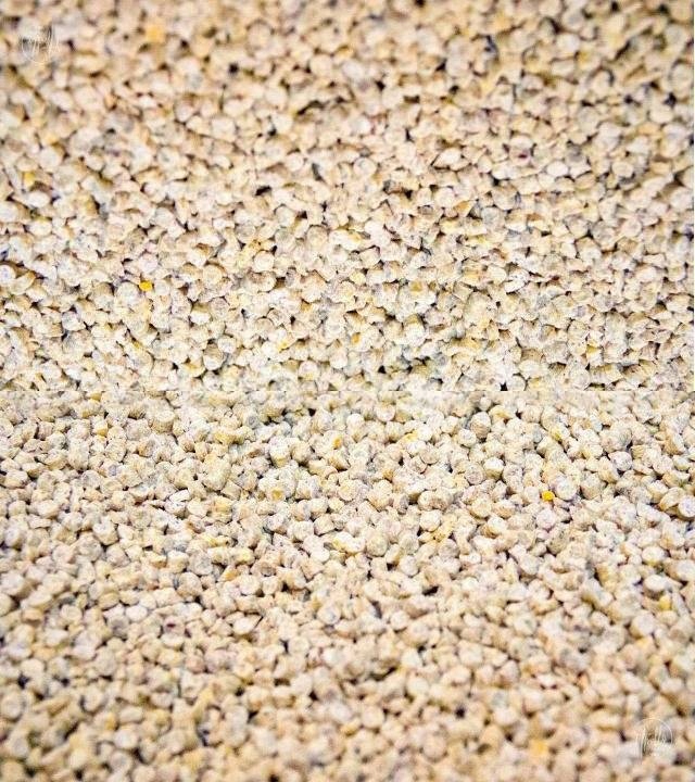 Super Benek CORN CAT Żwirek kukurydziany naturalny 14L