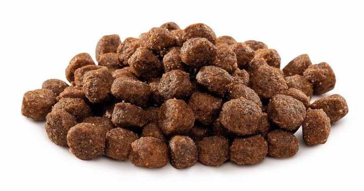 BRIT Premium Small Chicken sucha karma dla psa 8kg