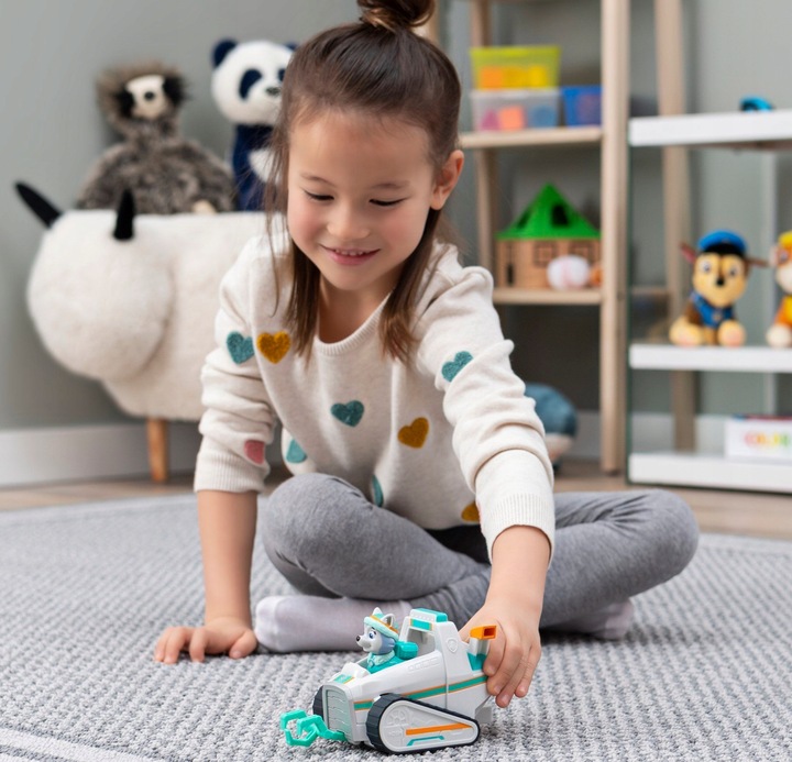 PSI PATROL SKYE I EVEREST POJAZDY I FIGURKI ZESTAW RATUNKOWY + KOTKI