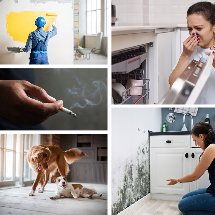 OZONATOR GENERATOR OZONU OCZYSZCZACZ DO POWIETRZA 60 000 mg/h +TIMER 110W