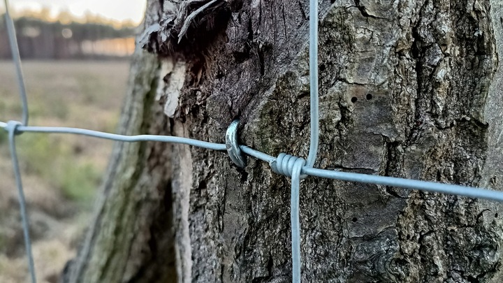 Siatka leśna - 120/20/15 G16 - 50 m