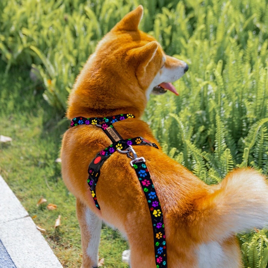 SZELKI GUARD DLA PSA REGULOWANE MOCNE BEZUCISKOWE WYGODNE PORZĄDNE roz. M
