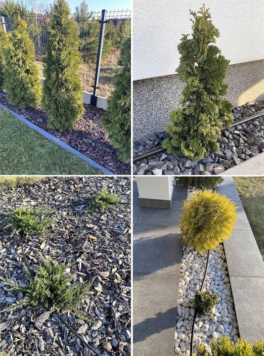 LINIA KROPLUJĄCA XXL 100m + 100el NAWODNIENIE KROPELKOWE WĄŻ KROPELKUJĄCY