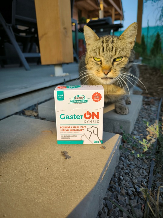 VITAR Veterinae GasterON SYMBIO - probiotyki i prebiotyki - aż 100 dawek