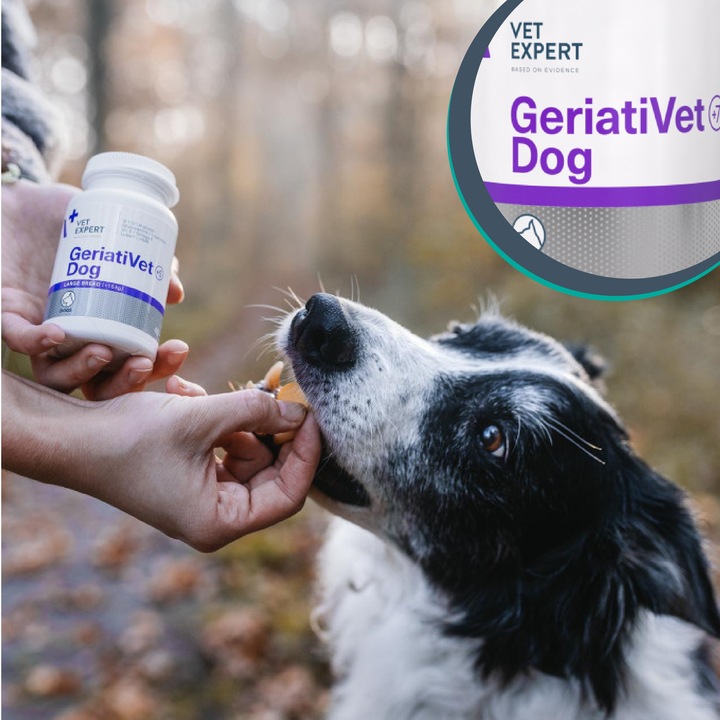 Preparat witaminy dla starszych psów Vet Expert Geriativet Dog 45 tabletek
