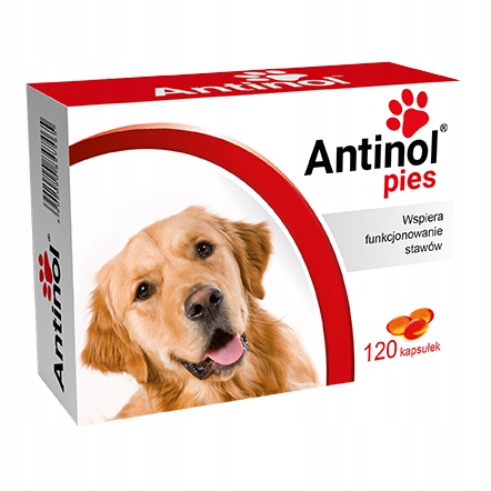 ANTINOL Pies 120 kapsułek Wspiera funkcjonowanie stawów BIOVICO