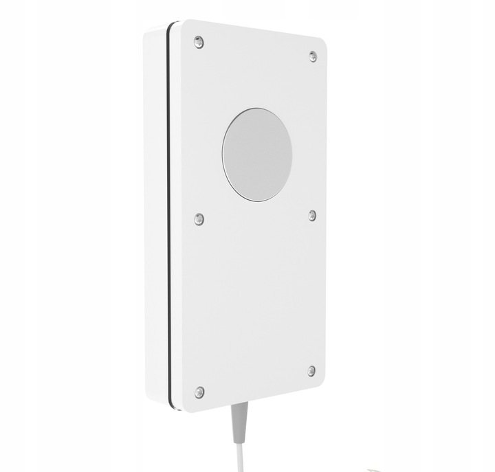 Profesjonalny termometr cyfrowy z sondą DT-1