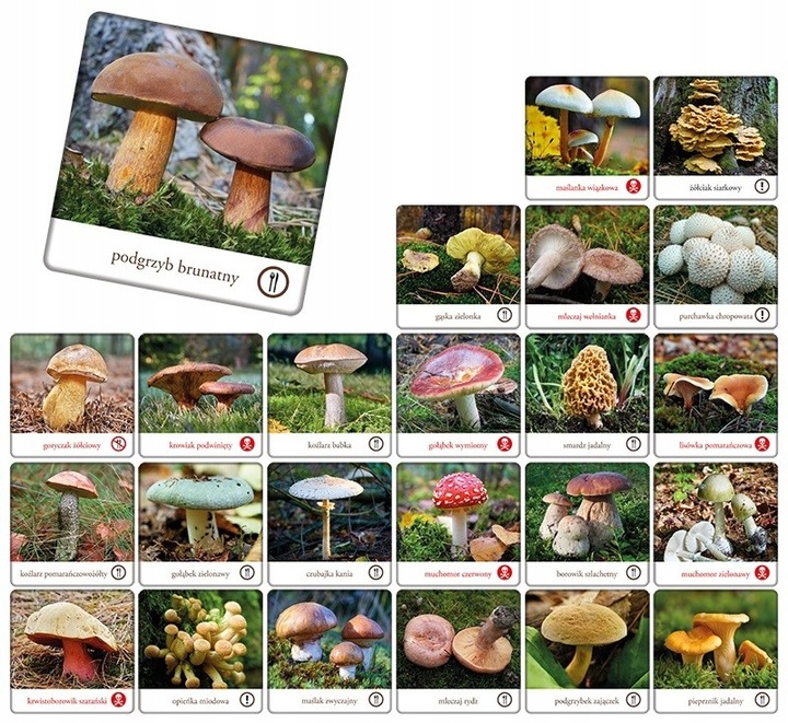 GRA PAMIĘCIOWA MEMORY MEMO GRZYBY POLSKI gra pamięciowa dla dzieci +5 lat