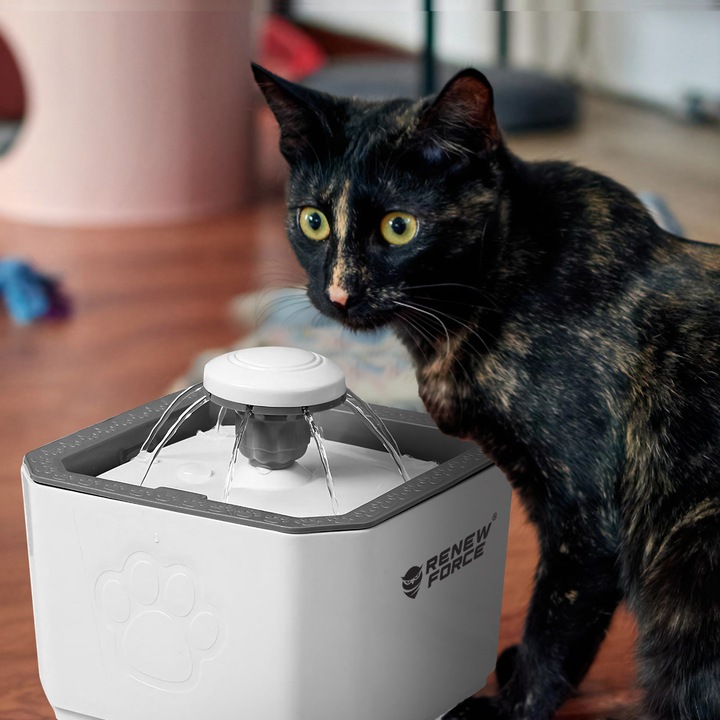 POIDEŁKO FONTANNA AUTOMATYCZNA DLA KOTA PSA ZWIERZĄT POIDŁO MISKA 2,5L