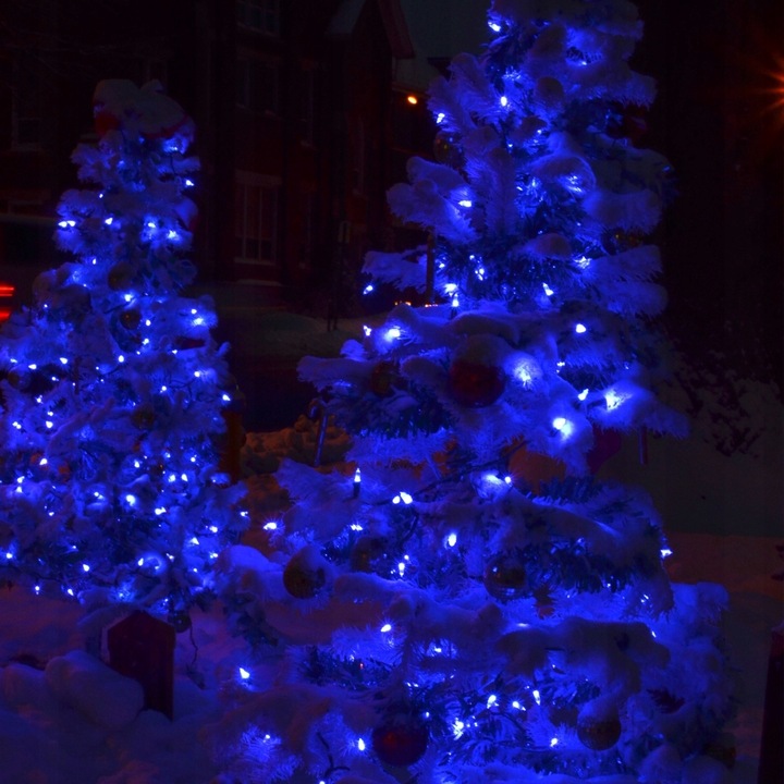 MOCNE NIEBIESKIE LAMPKI CHOINKOWE 500 LED ŚWIATEŁKA ZEWNĘTRZNE WEWNĘTRZNE