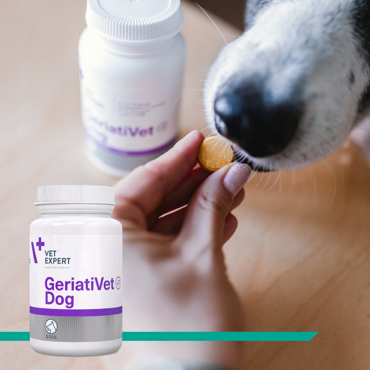 Preparat witaminy dla starszych psów Vet Expert Geriativet Dog 45 tabletek