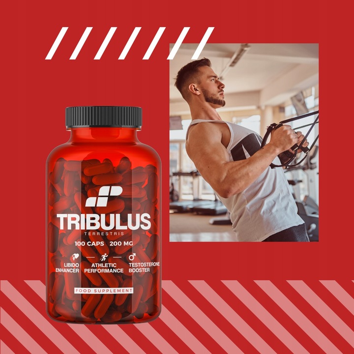 TRIBULUS TESTOSTERON TERRESTRIS BUZDYGANEK TESTO LIBIDO 100 MUSCLE POWER