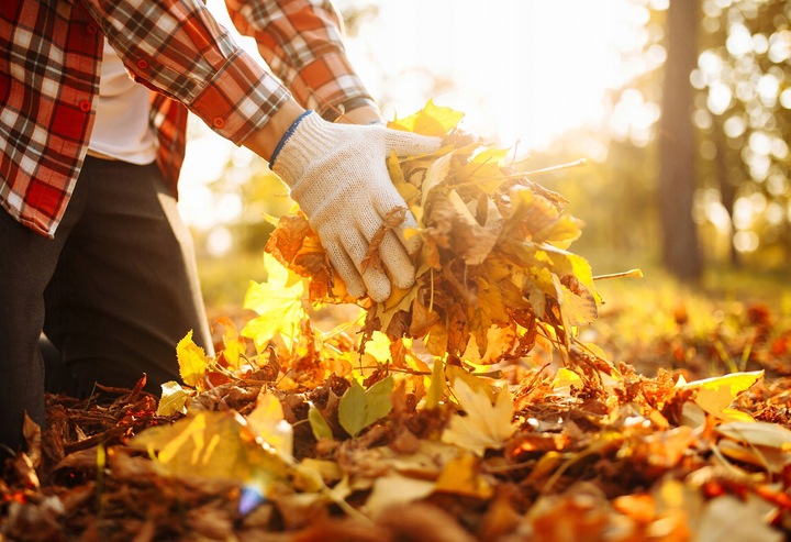WÓZEK OGRODOWY TRANSPORTOWY PRZYCZEPKA TACZKA KOŁA PLANDEKA DO 400KG 100L