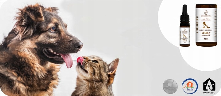 Olejek CBD dla Psa i Kota 5% 500 mg | Weterynaryjny | Bez THC | Bezsmakowy