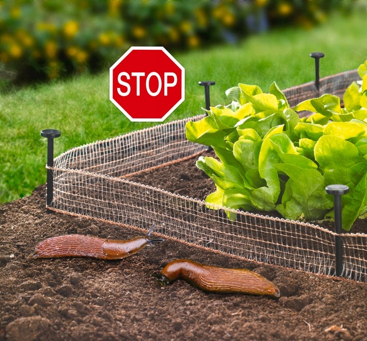 ODSTRASZACZ ślimaków PŁOTEK na ślimaki MIEDZIANY