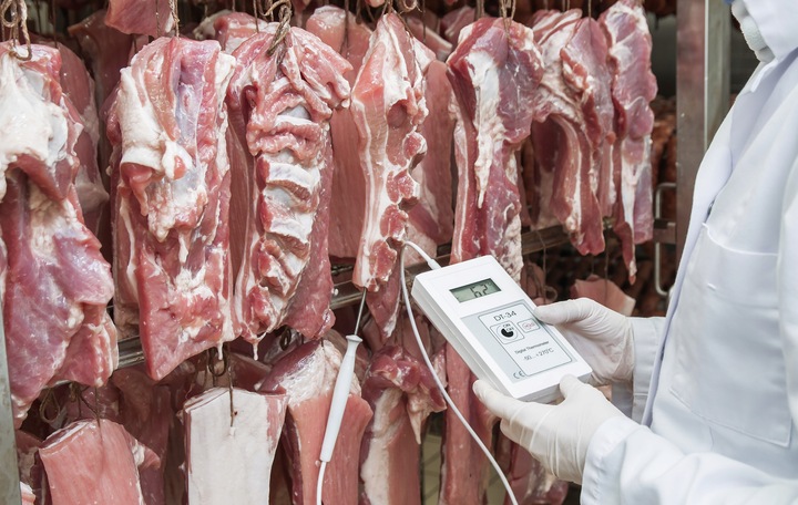 Termometr DT34 od producenta do żywności HACCP