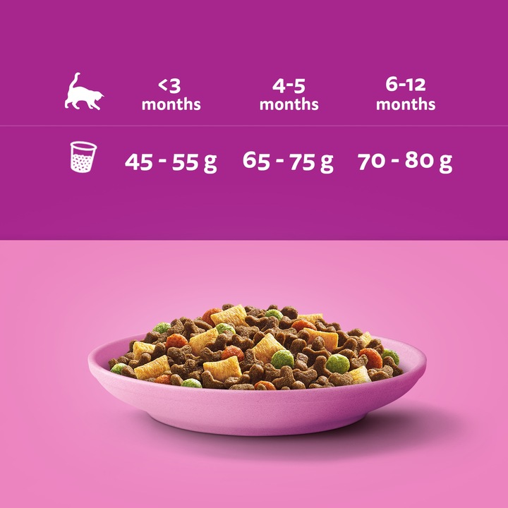 WHISKAS Junior sucha karma dla kociąt z kurczakiem 14 kg