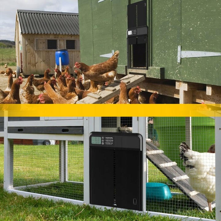 AUTOMATYCZNE DRZWI DO KURNIKA OTWIERANIE DRZWI Z TIMEREM METALOWE CZUJNIK