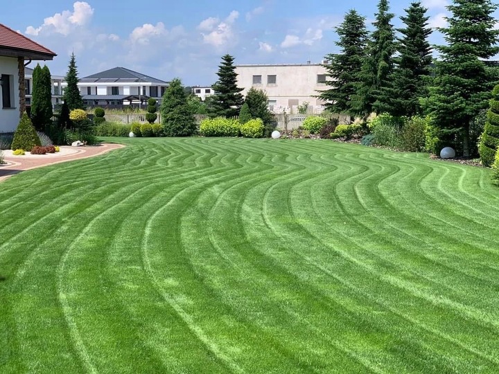 Nawóz do trawy do trawników na lato MAGGROW 20 kg
