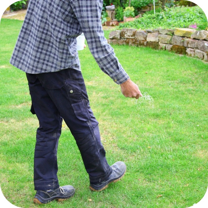 NAWÓZ DO TRAWY COMPLEX 25KG TRAWNIKA TRAWNIKÓW ROSAFERT NPK 12-12-17