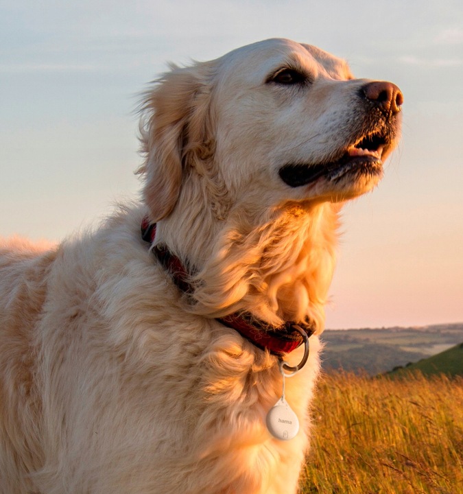 Lokalizator GPS Hama Air-Tag Apple find me Bluetooth biały