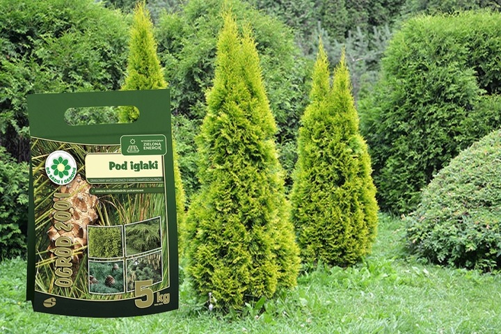 SIARKOPOL OGRÓD 2001 NAWÓZ DO TUI IGLAKÓW ŻYWOTNIKÓW CISÓW THUI JODEŁ 5KG