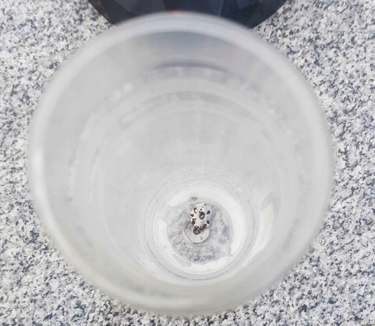 WKŁADY DO ZNICZY OLEJOWE WYDŁUŻONY CZAS PALENIA DO 3 DNI 48-72H BEZPIECZNE