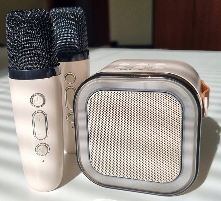 Przenośny GŁOŚNIK Bluetooth + 2 Mikrofony + Karaoke dla Dziewczynek