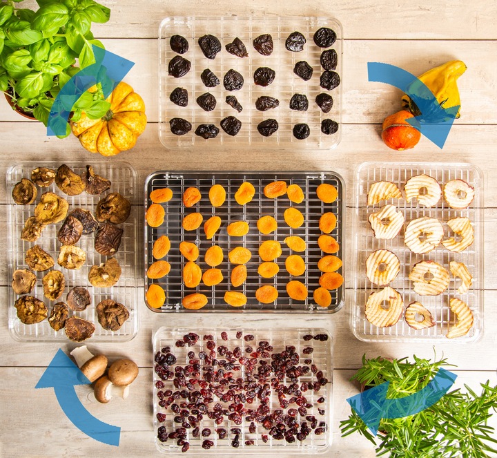 Suszarka do grzybów owoców DEHYDRATOR FIRST 240W First Austria