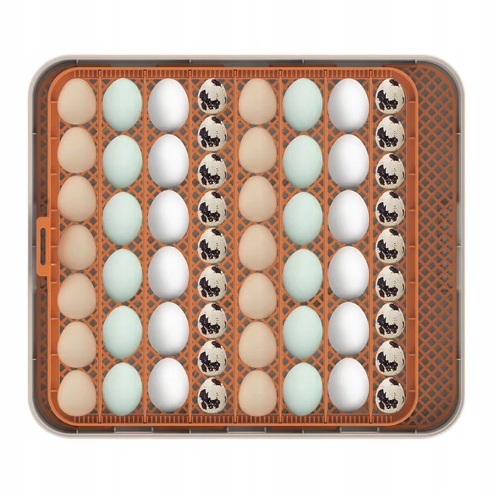 Inkubator Automatyczny 56H 56 Jaj Z Owoskopem 12V Klujnik Wylęgarka Drobiu