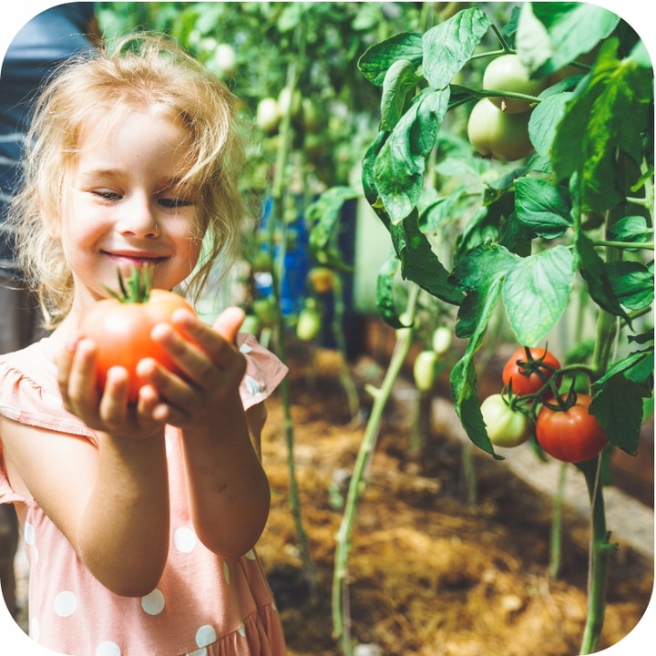 FruktoVit Plus Nawóz uniwersalny granulowany ogrodniczy 5kg ZDROWE ROŚLINY