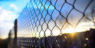 SIATKA OGRODZENIOWA 150 cm OCYNK + PCV ZIELONA drut 3,0 mm rolka 10mb 1,50m